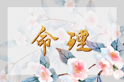 择吉老黄历皇历 皇历查询 汉典老皇历