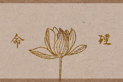 择吉老皇历|老皇历查询|汉典老皇历